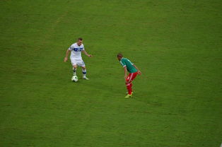 乐鱼app下载-中国足球对抗频次与伤病风险相关性，足球 对抗